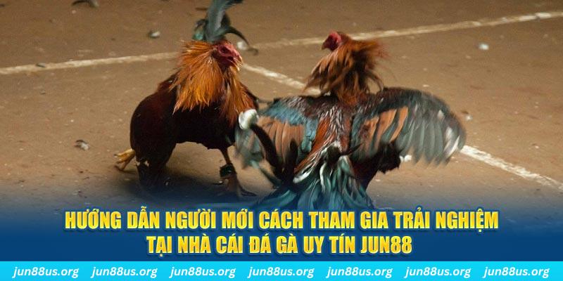 red 88 loi game dot kich ket noi may chu that bai