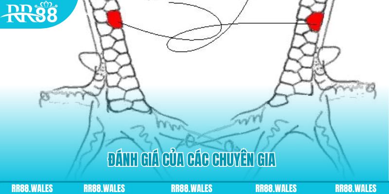 red 88 V8 Game Bài 3d