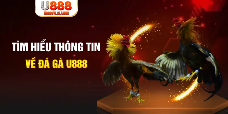 red 88 đăng nhập tiến lên miền nam hàng đầu