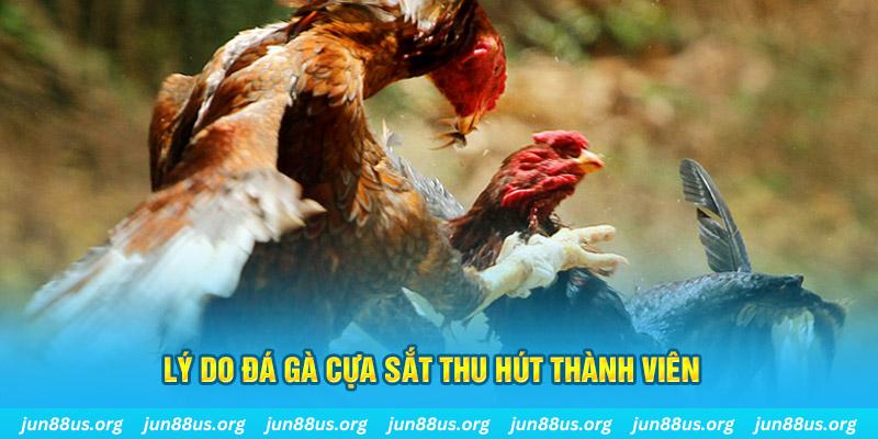 red 88 chiếm slot là gì