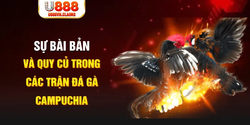 red 88 PG Điện Tử