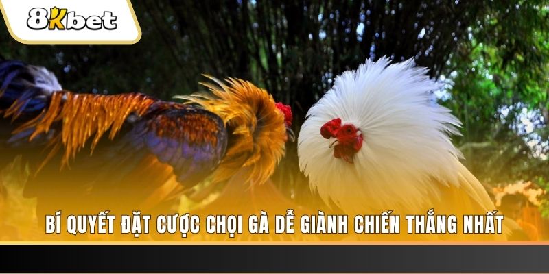 red 88 xổ số thứ hai hàng tuần