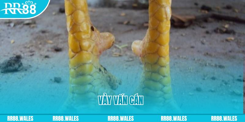 red 88 đăng nhập nổ hũ hôm nay