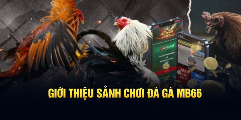 red 88 đăng nhập poker hôm nay