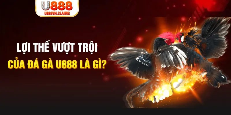 red 88 168G Điện Tử